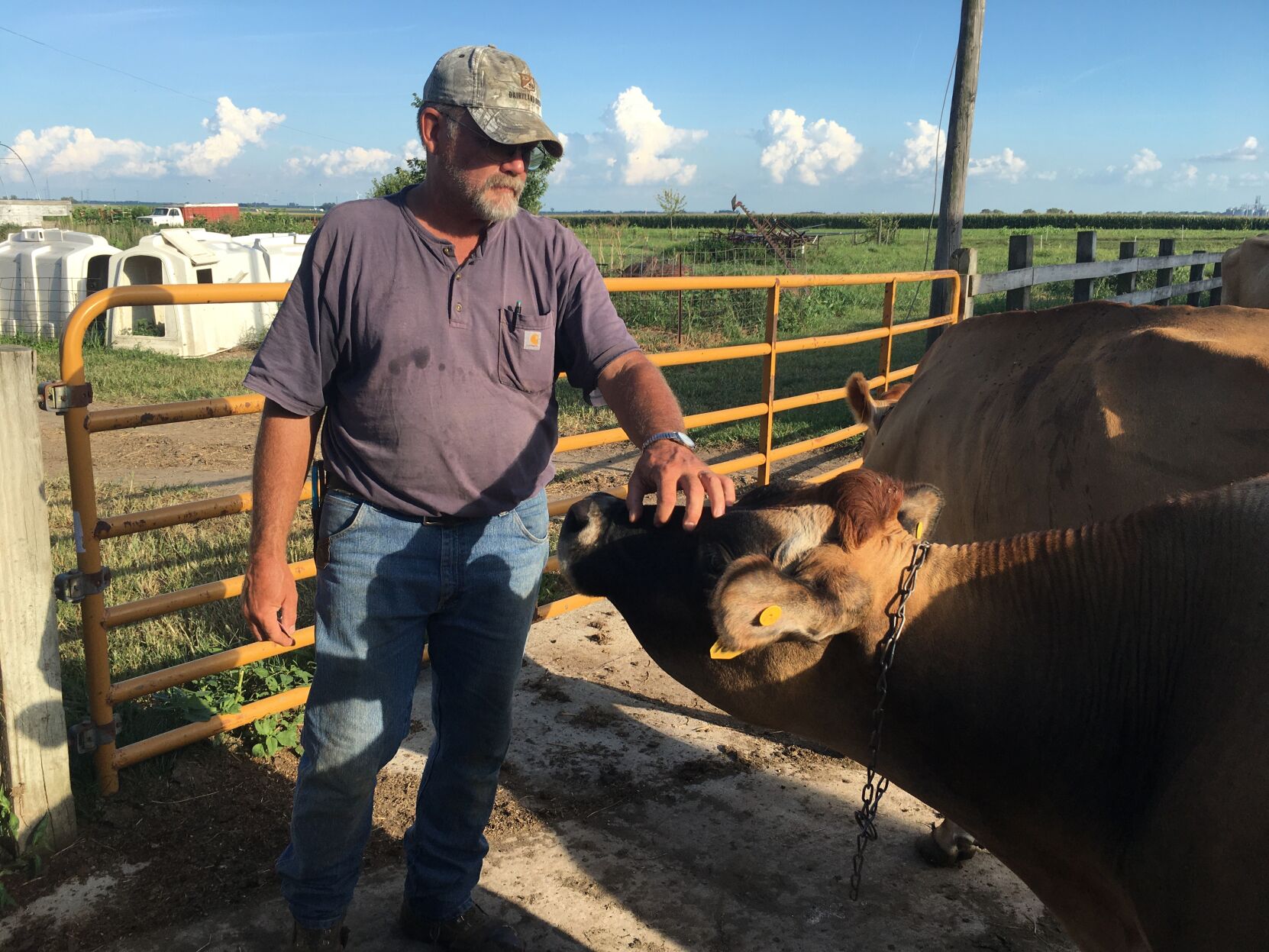 Tazewell County dairy’s leap of faith proves pandemic no barrier